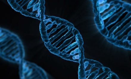 How Do Our Genes Work?