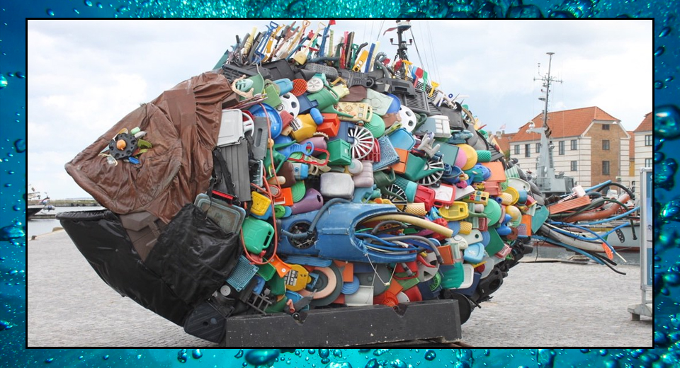 Plastics – Sea Shambles Advent Day 11