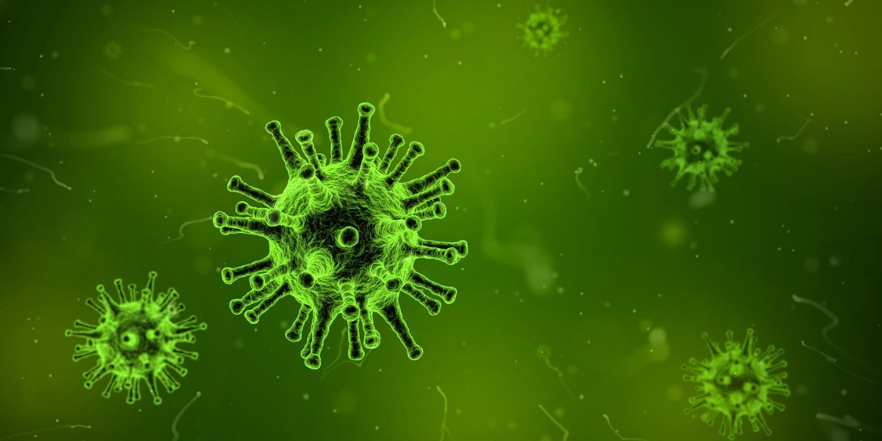 Killer Bacteria: AMR Messaging – Jenny Rohn
