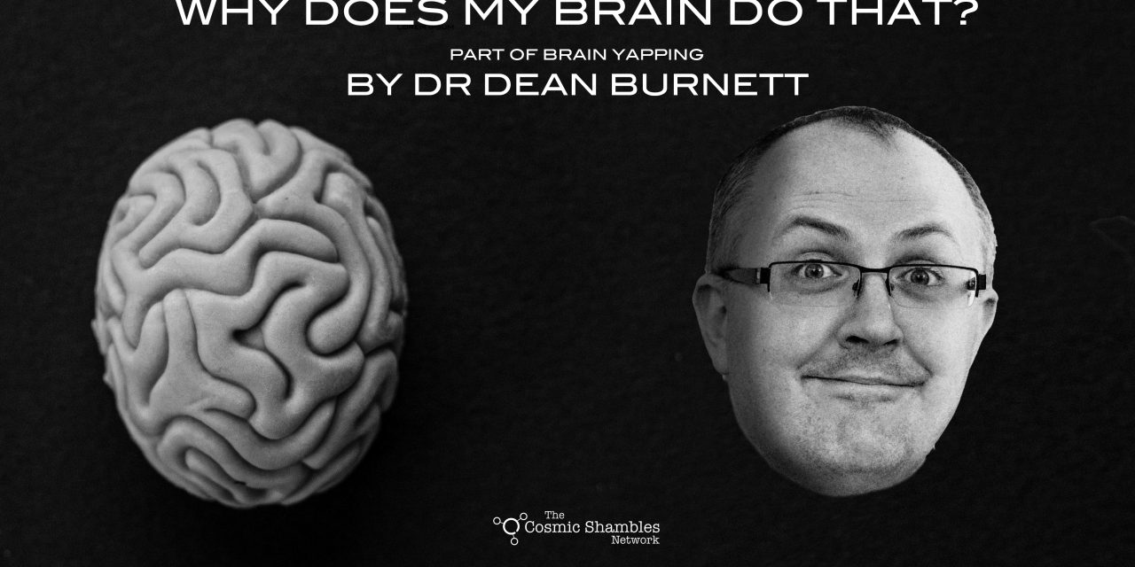 Do Dreams Have An Evolutionary Purpose? – Dean Burnett